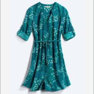 41 Hawthorn Cristen Shirt Dress